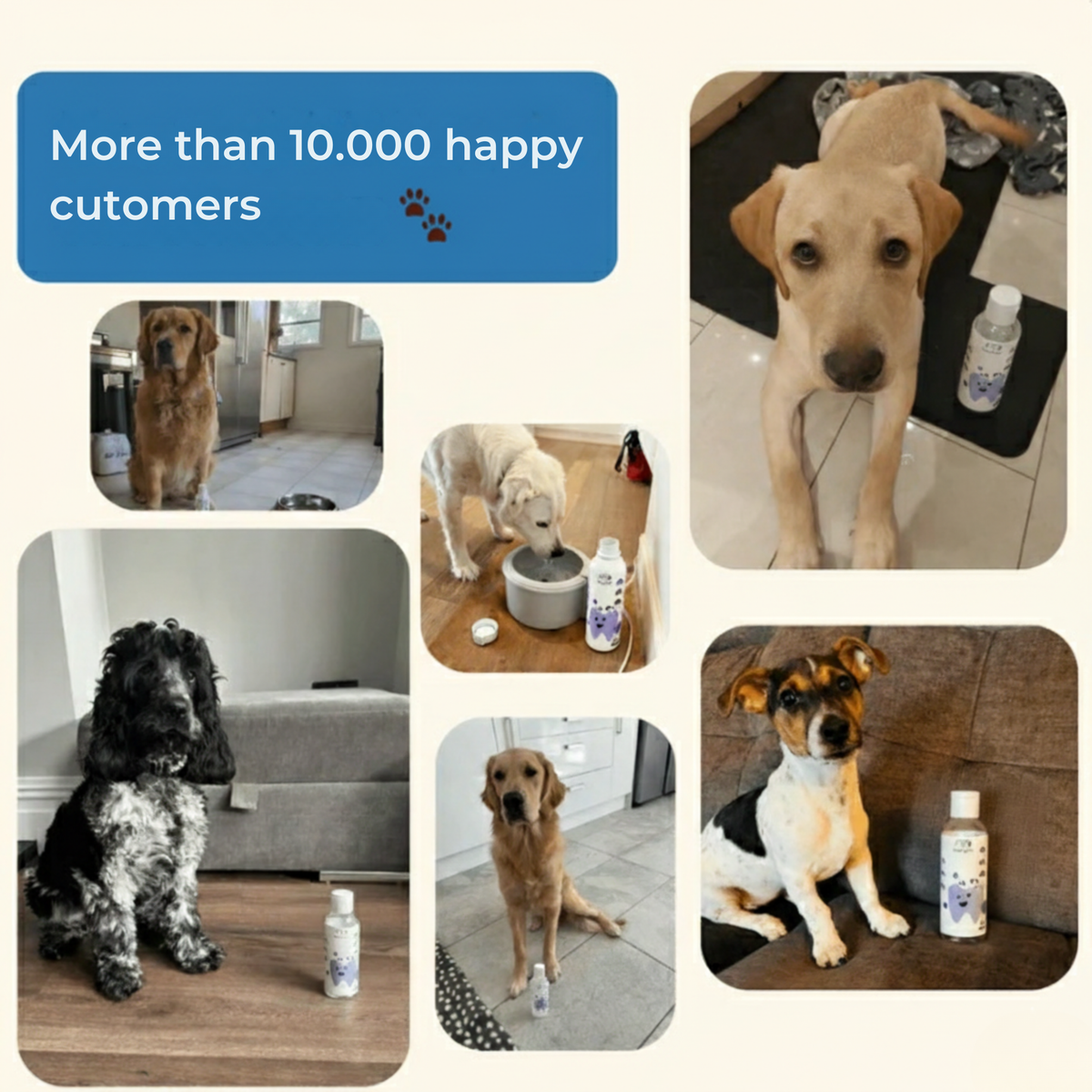 PawSential™ Hydrating Dental Care